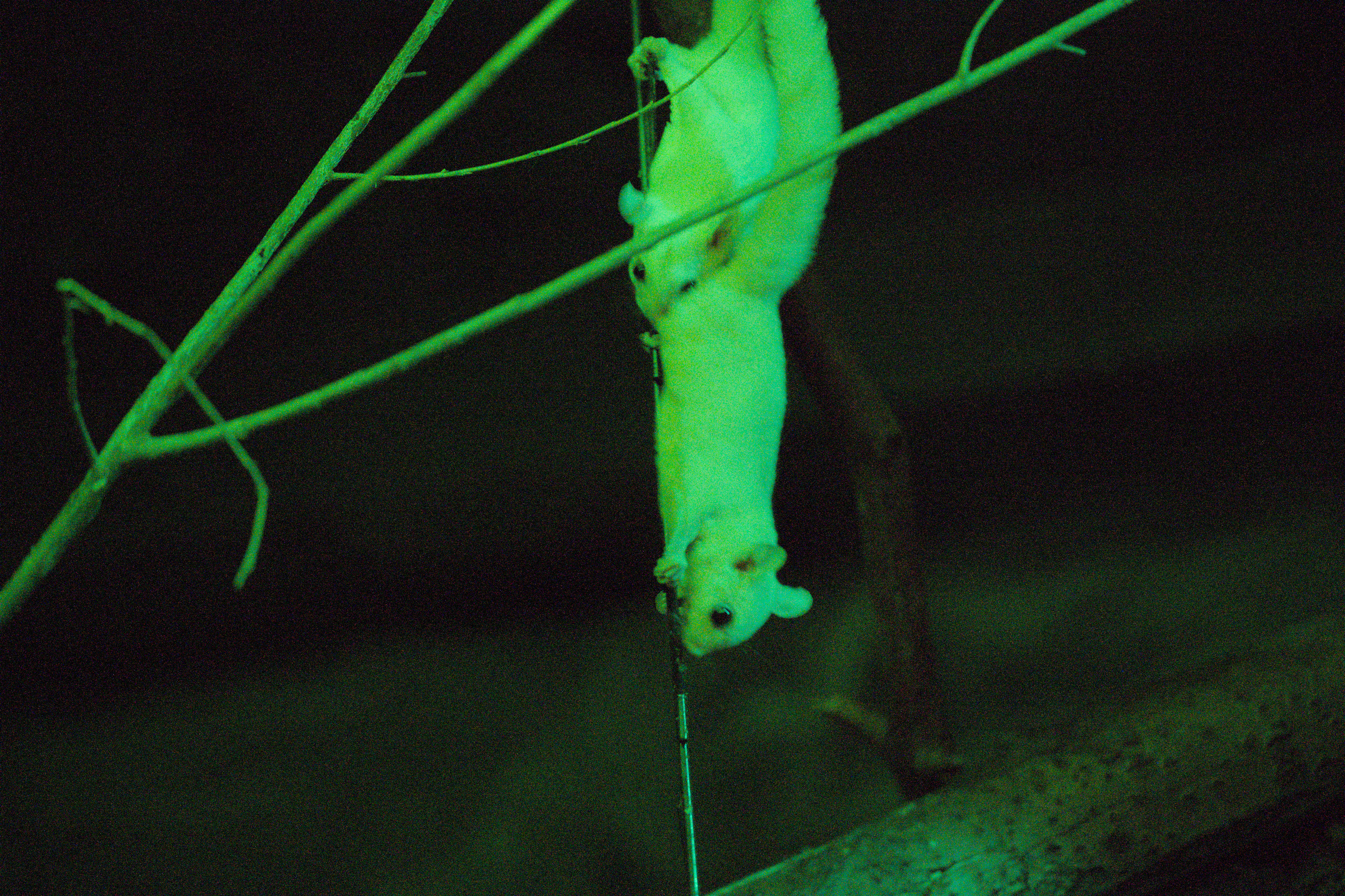 2025/10/12 - zoo/DSC_0260.jpg